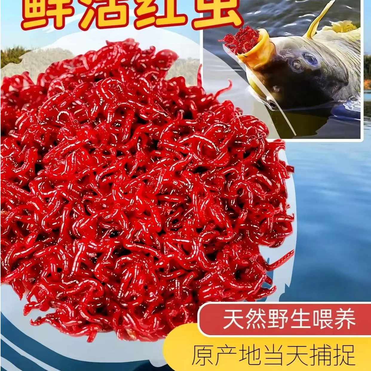 红虫活饵带土发货野钓黑坑新鲜鲜活钓鱼饵料