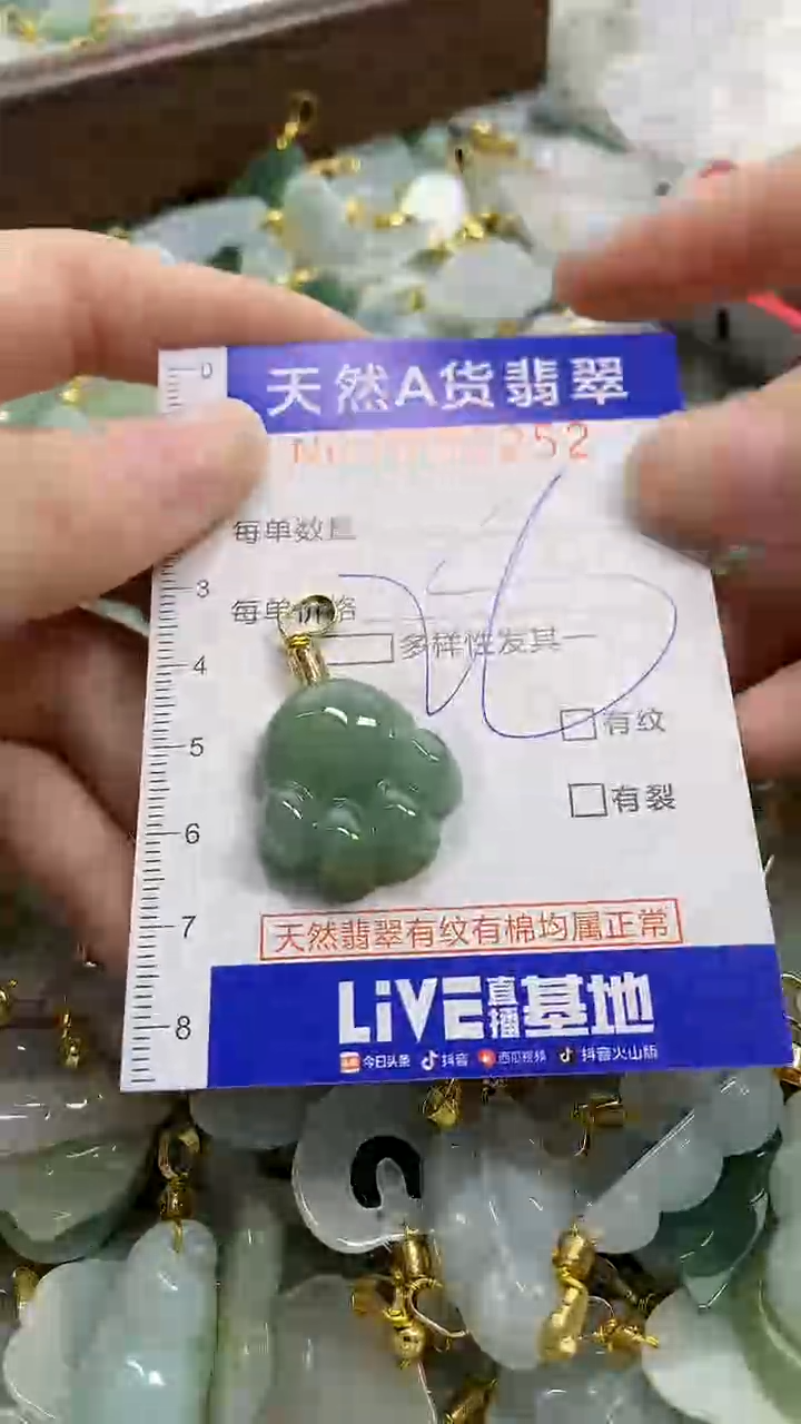 颈饰未镶嵌翡翠天然A货翡翠