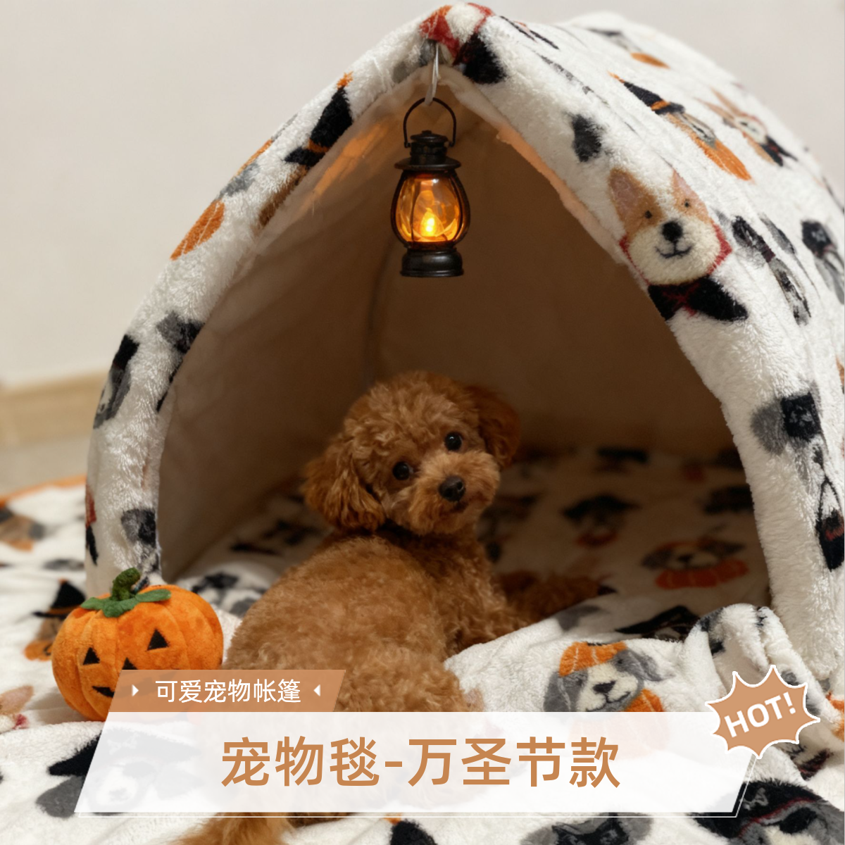 冬季加厚500克云貂绒【宠物毯-万圣节款】可爱动物