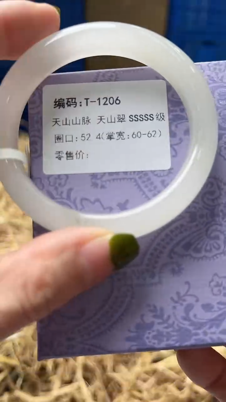 未镶嵌手镯石英质玉T1206