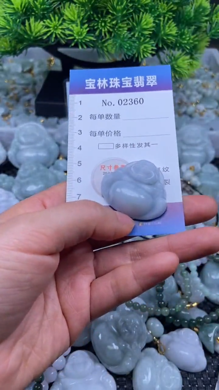 颈饰未镶嵌翡翠天然缅甸翡翠2360