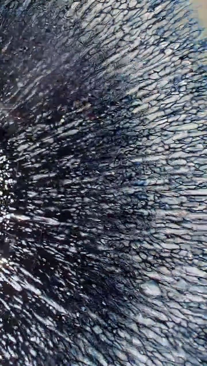 茶盏6纯原陈星收藏专场800