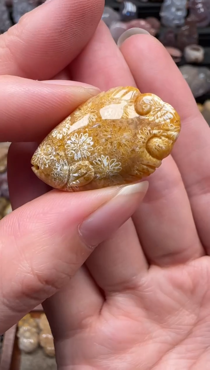 颈饰未镶嵌硅化珊瑚（珊瑚玉）875