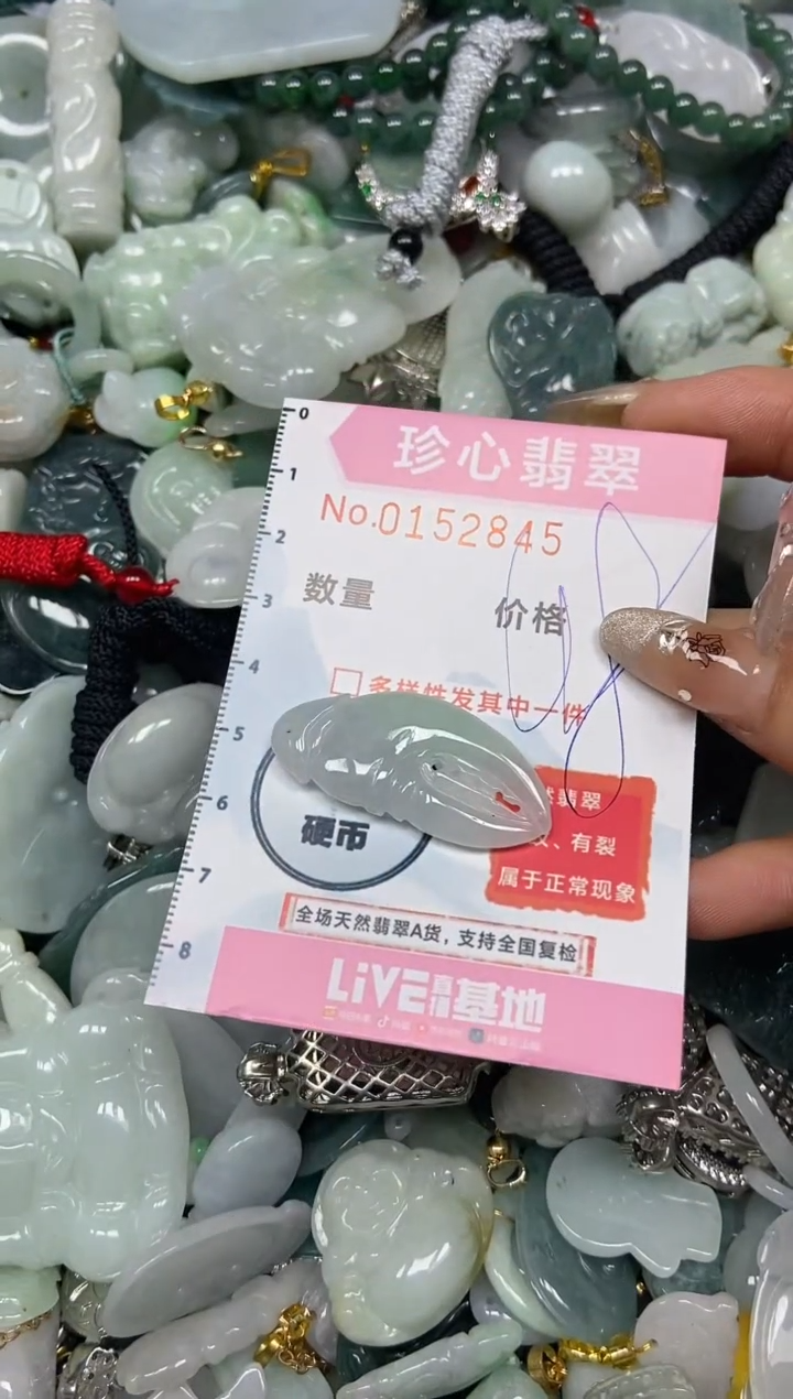 【闪购商品】翡翠颈饰未镶嵌闪购0152845