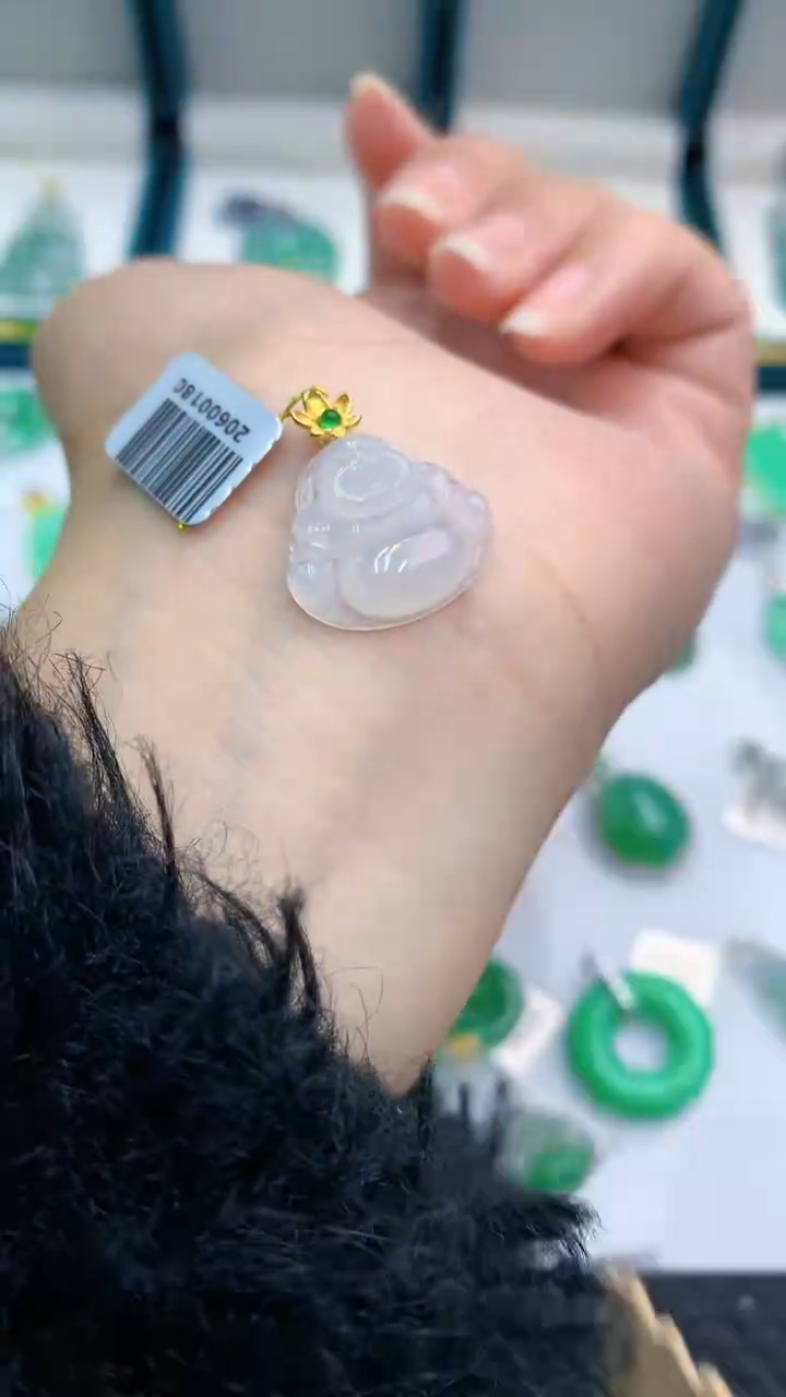 【闪购商品】翡翠颈饰18K金镶嵌            8