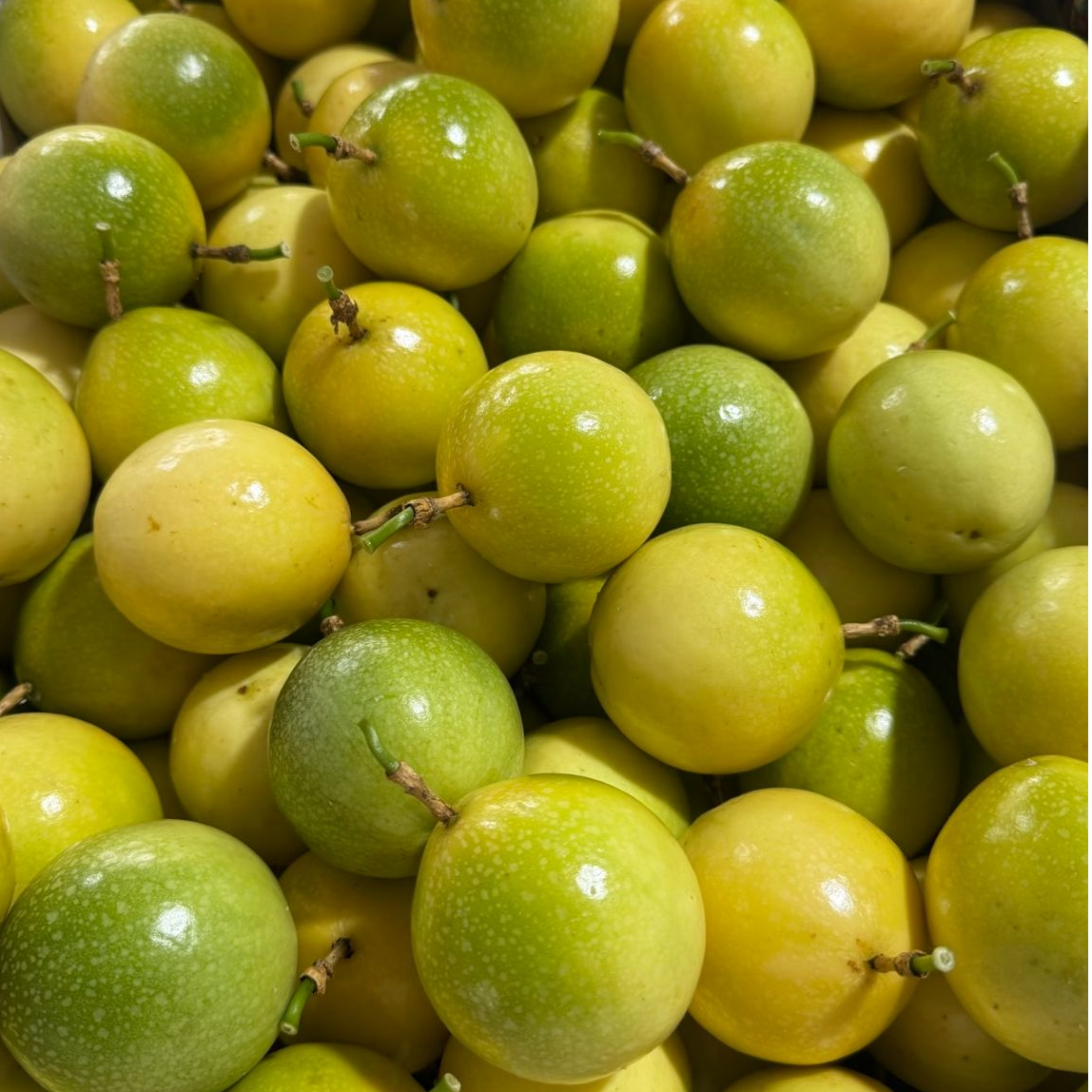 【顺丰包邮】钦蜜9号百香果蜜甜多汁常温放3斤起