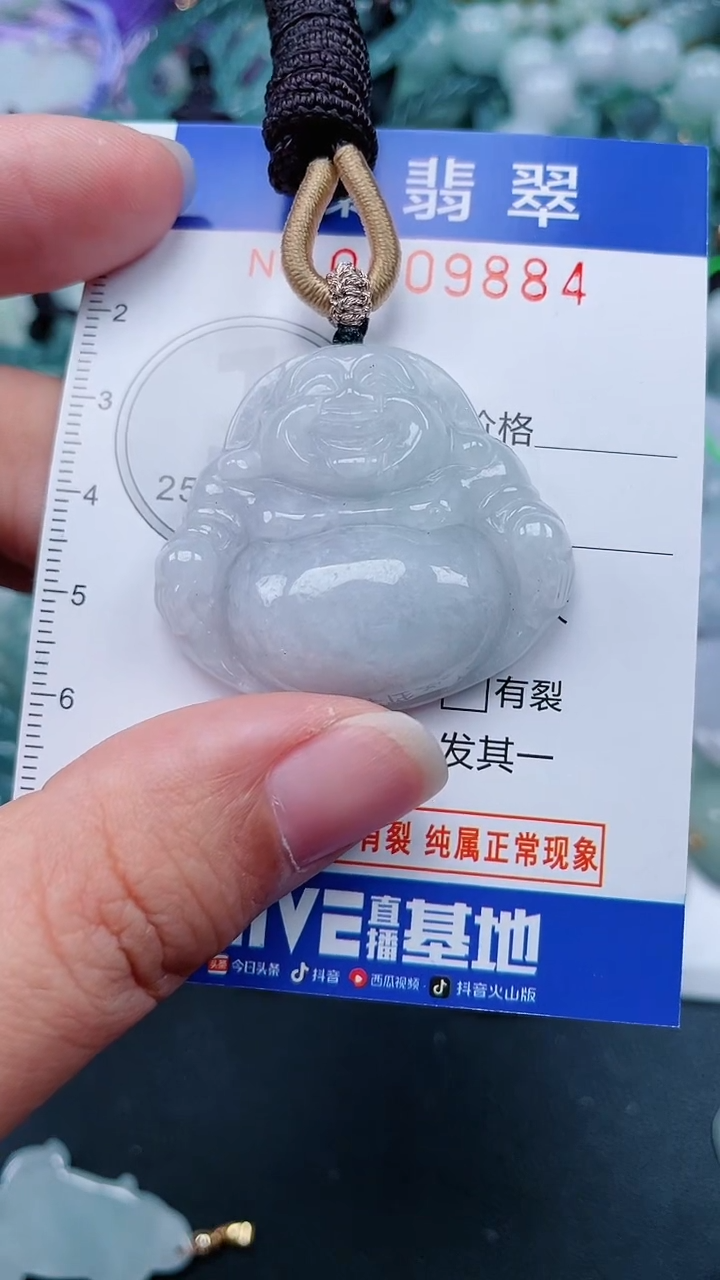 颈饰未镶嵌翡翠.0009884