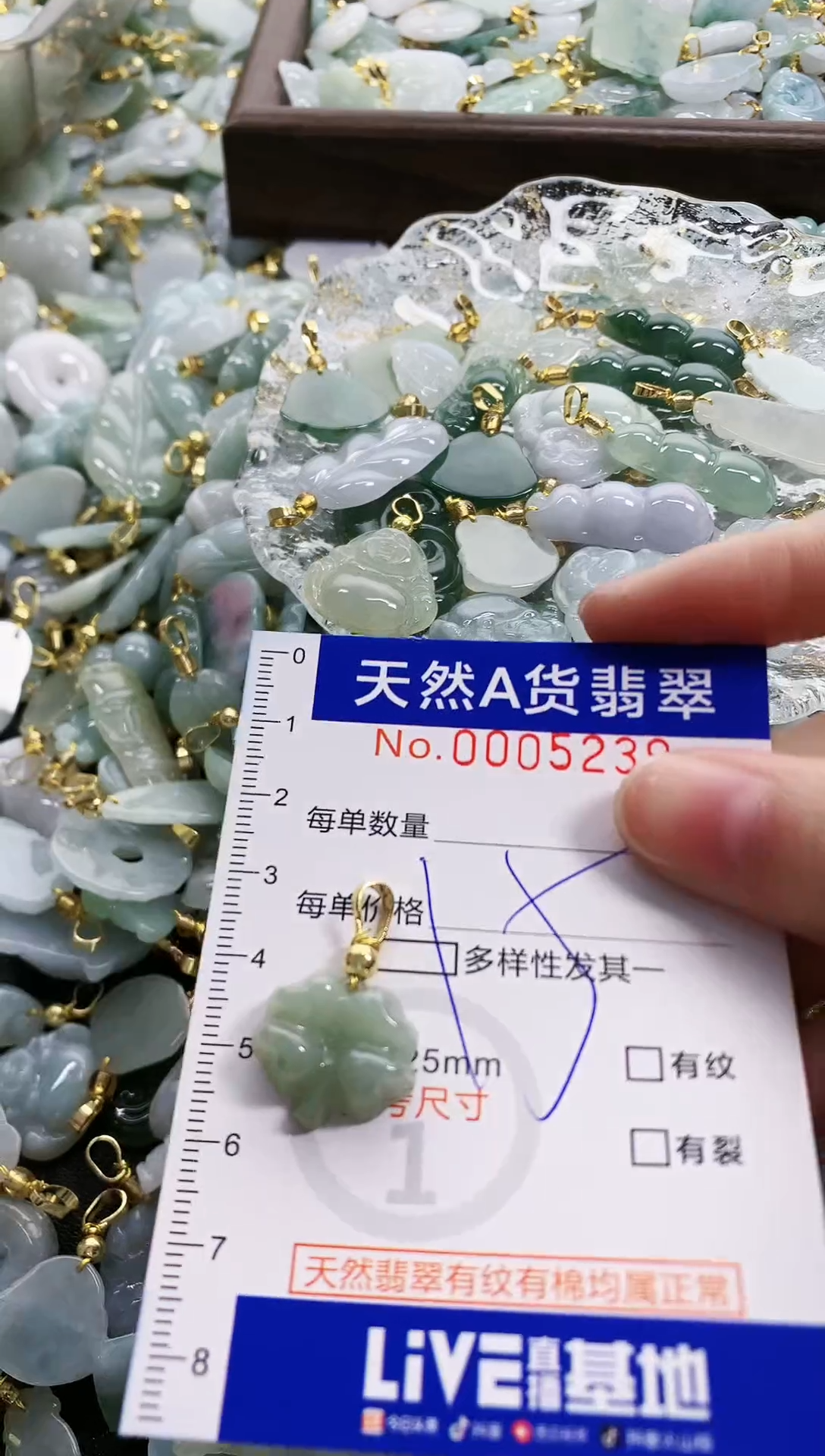 颈饰未镶嵌翡翠天然A货翡翠