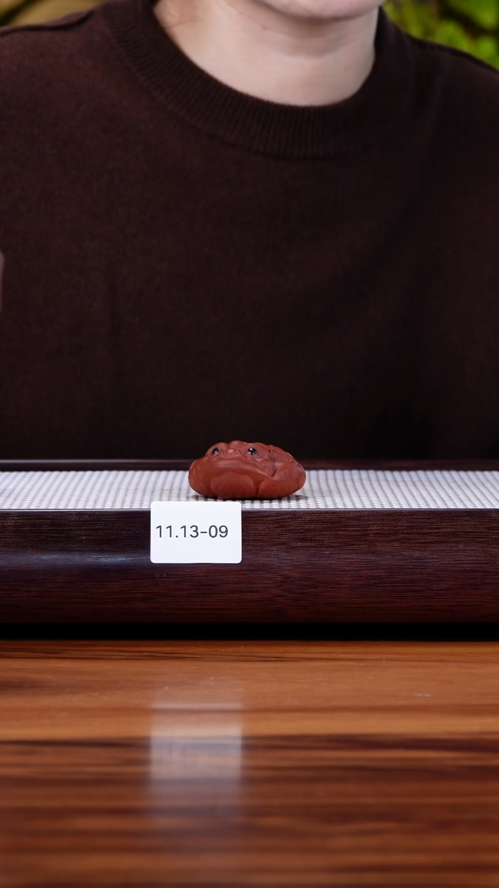 茶壶紫砂11.13-9  金蟾