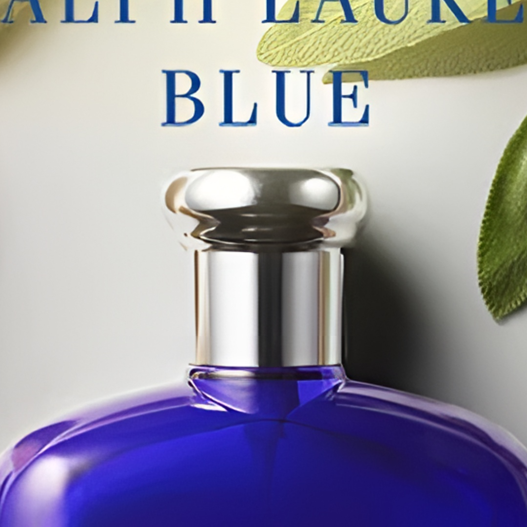 蓝马球男士淡香水40ml校旗26年9月1日精装