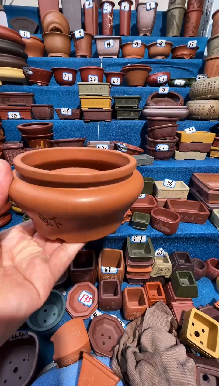 【闪购商品】紫砂紫砂花盆11*6