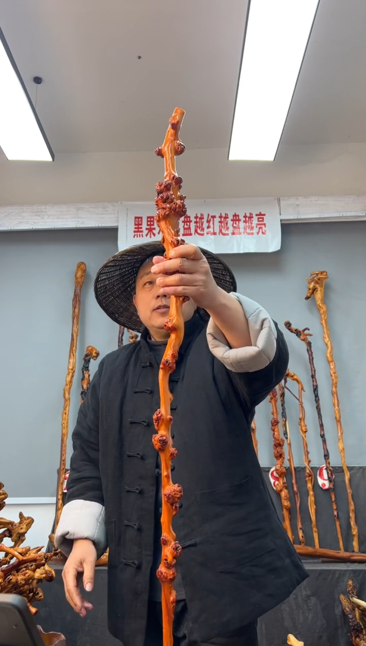 【闪购商品】黑果木其他黑果木222