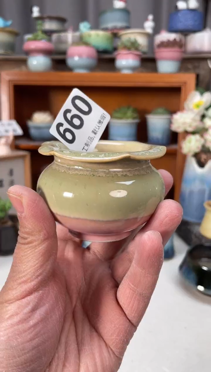 瓷片660小芳直播编号