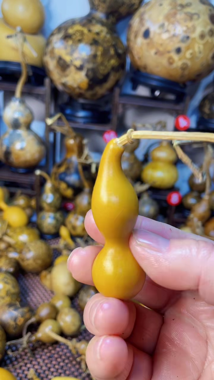 【闪购商品】葫芦葫芦葫芦葫芦了葫芦