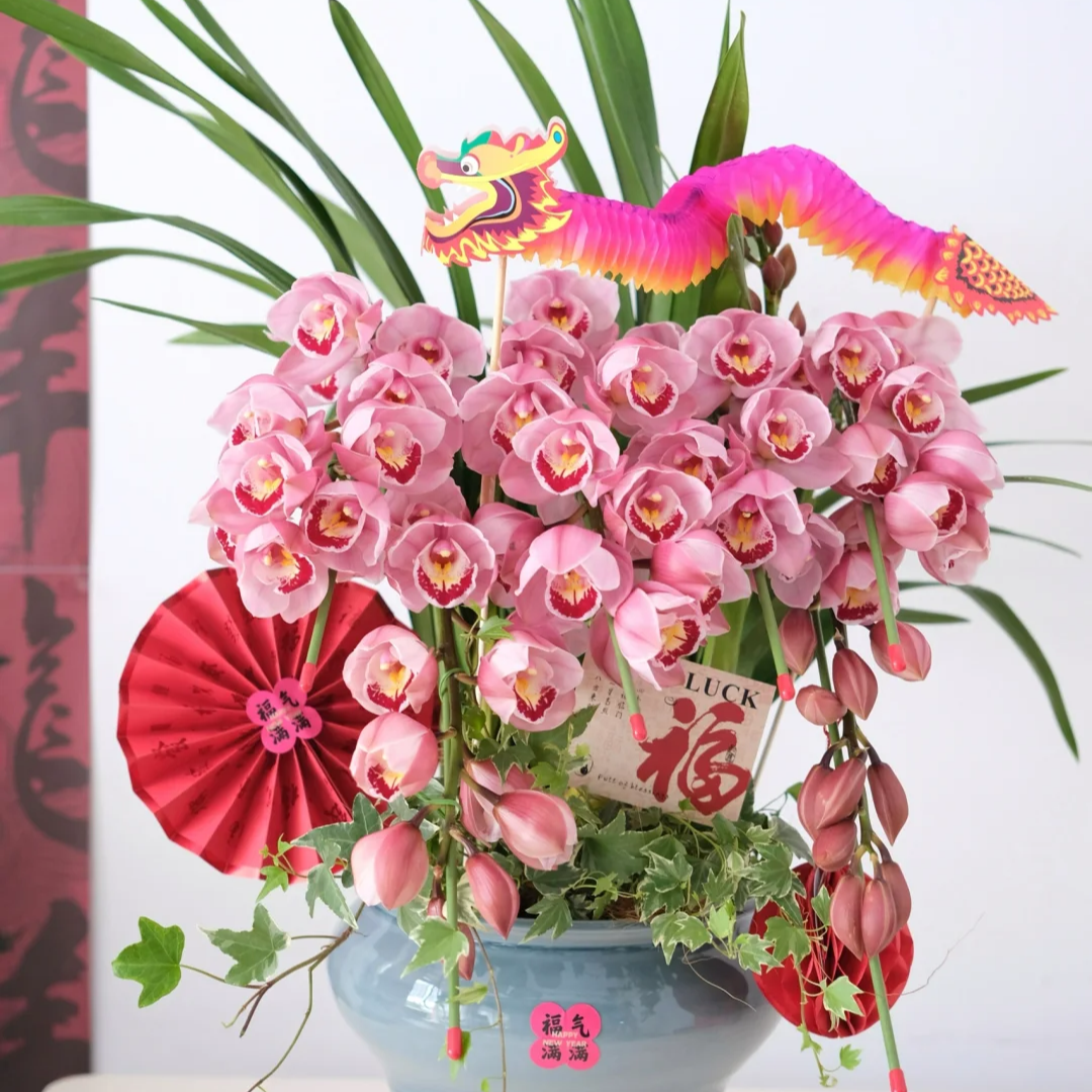 粉钻石拱兰9支剑(S) 粉色大花蕙兰 花苞/开花/部分开花发货210盆