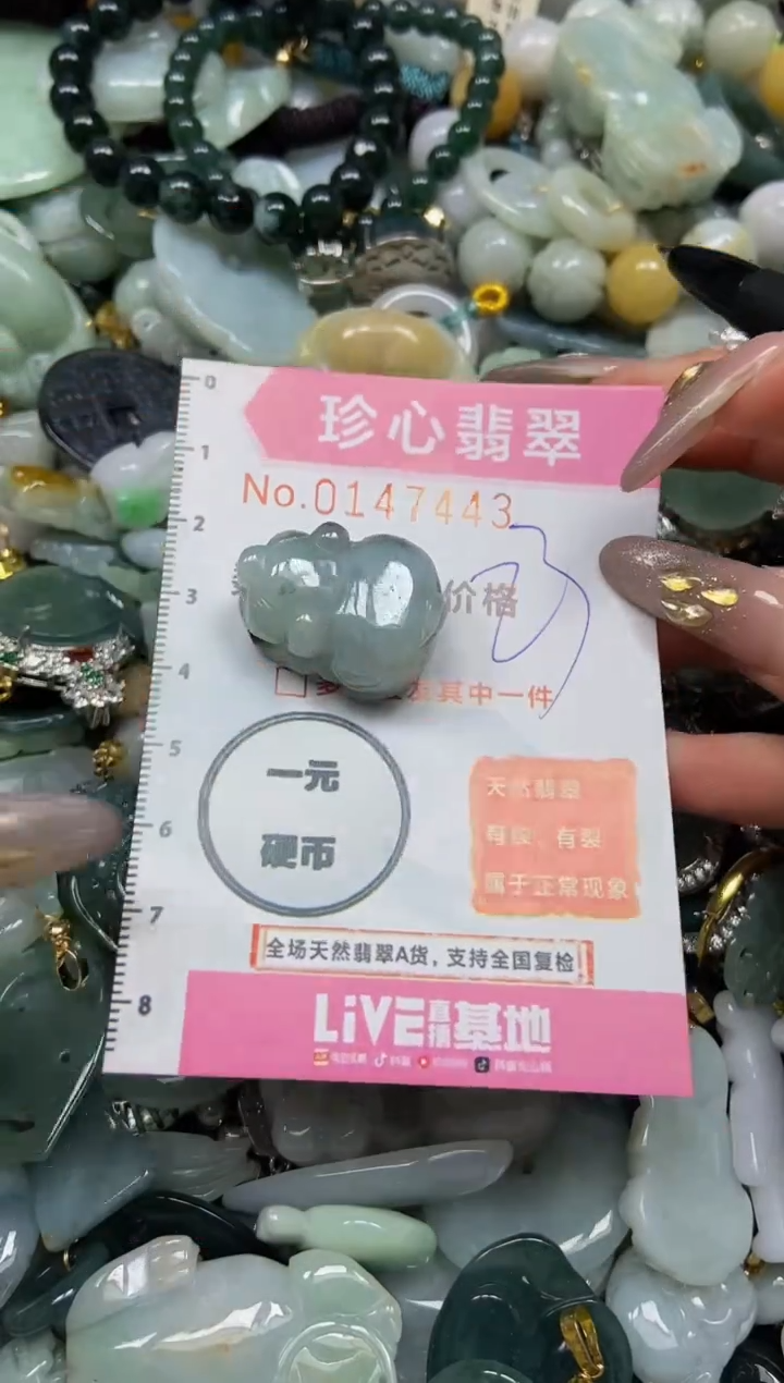 【闪购商品】翡翠颈饰未镶嵌闪购0147443