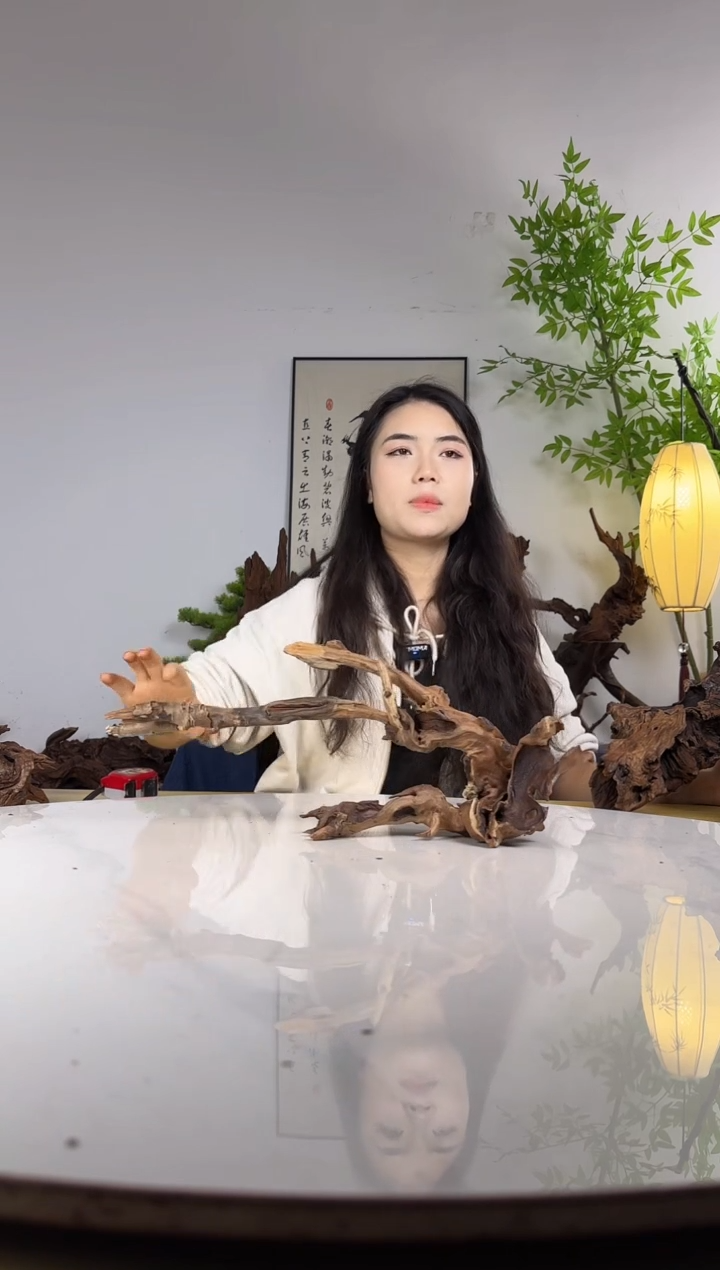 可***啡拍沉木定向链接编号22