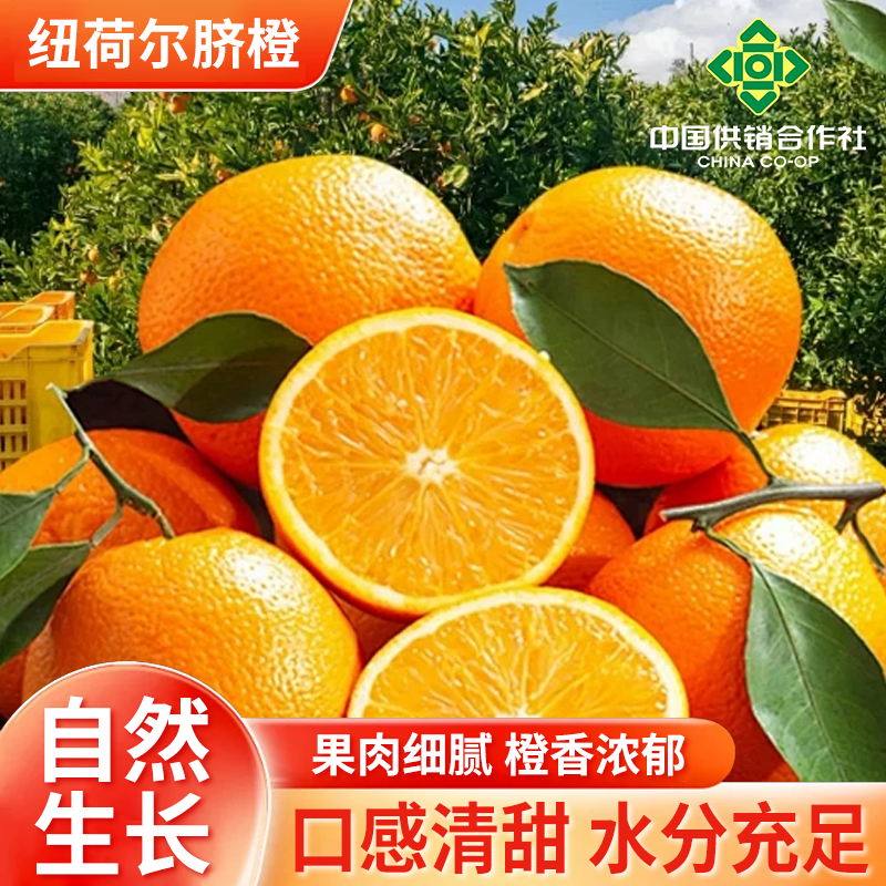 供销社带箱十斤正宗纽荷尔脐橙（约14-18个）新鲜产地直发坏果包赔