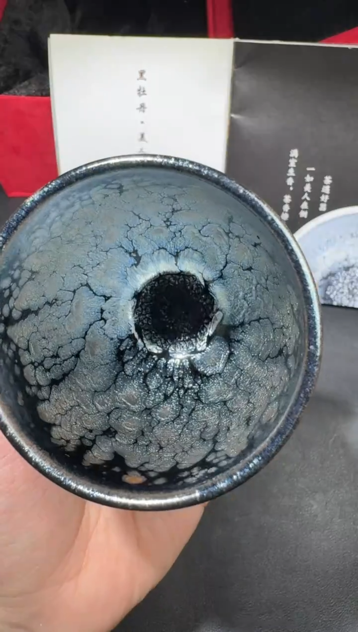 茶盏阙梅娇黑牡丹美人爱168