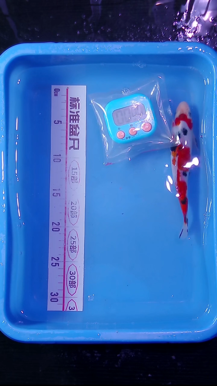 锦鲤直播间菁选   