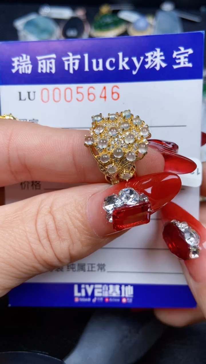 【闪购商品】翡翠颈饰银S925镶嵌5646