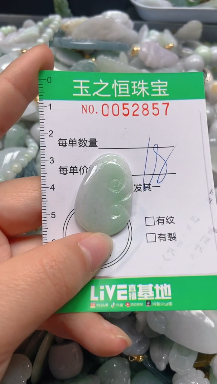 【闪购商品】翡翠颈饰未镶嵌闪购0052857