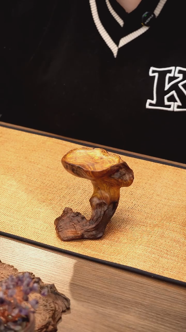 2号云小屋金丝杜仲烛台