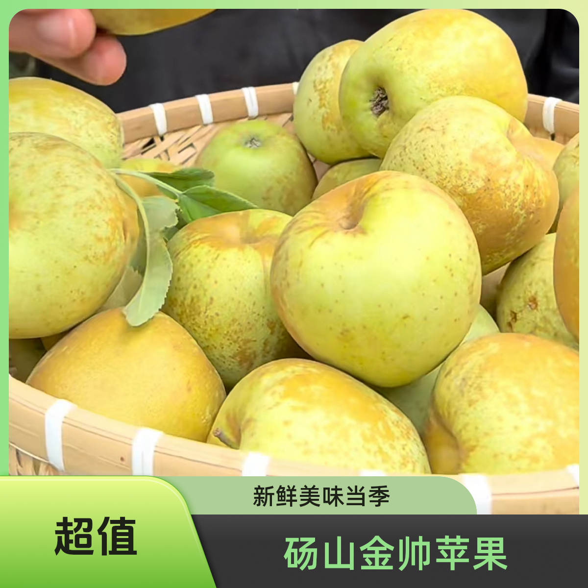 正宗金帅苹果老品种砀山红富士黄肉苹果新鲜水果酸甜应季苹果