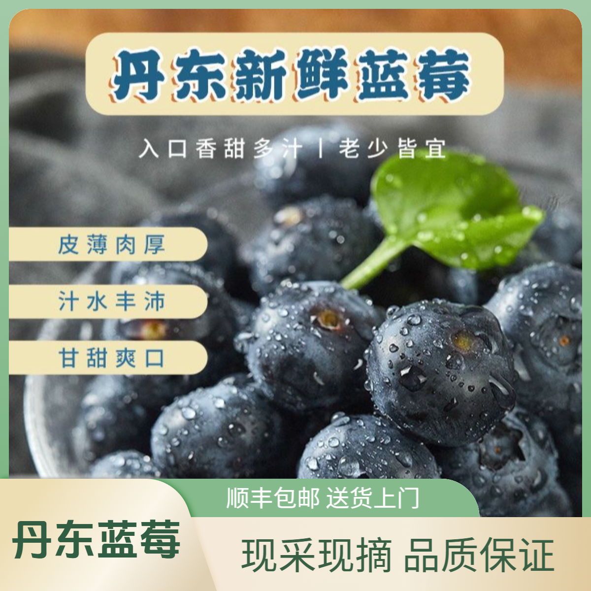 【22/一箱】丹东蓝莓黑莓 17-12mm头茬果 大果 脆甜 蓝莓400g/箱（BW-W-LZQ）辽宁省