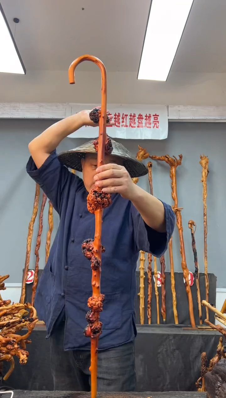 【闪购商品】黑果木其他黑果木416