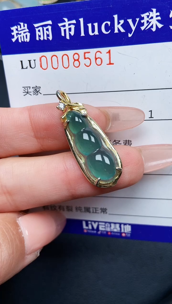 【闪购商品】翡翠颈饰银S925镶嵌8561