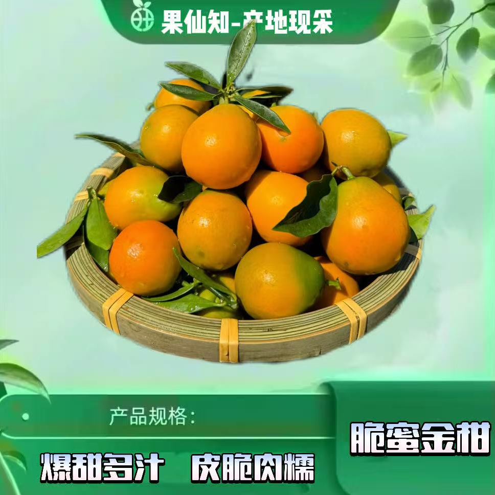 【空运-脆蜜金柑-净重2斤】广西壮族自治区