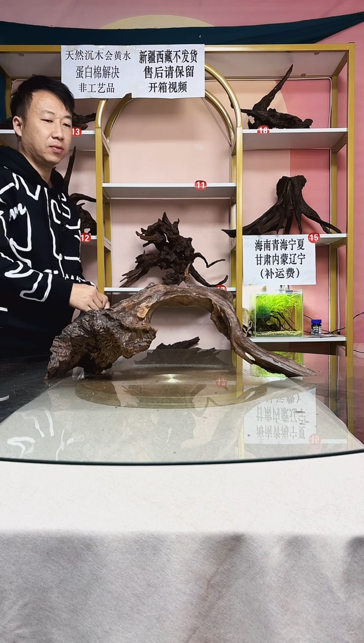 超**生鱼缸沉木A822