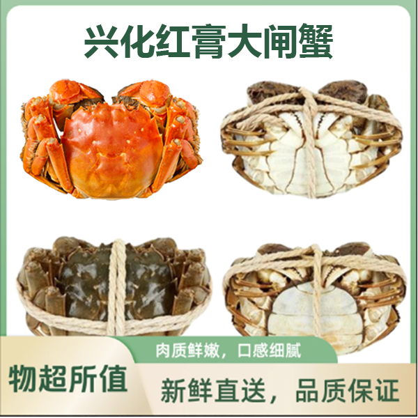 【活蟹】江苏大闸蟹全公净重三斤 每只三两起 8到10只顺丰/京东包邮