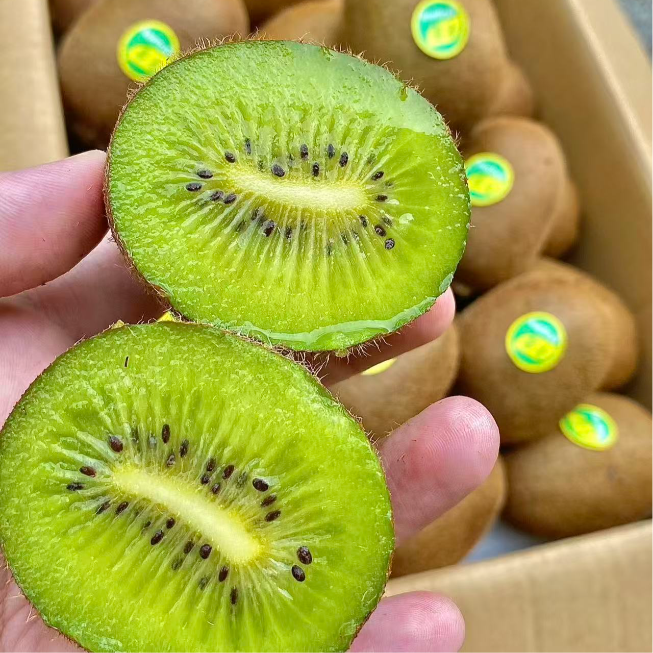 【猕猴桃】修文猕猴桃净重4斤 顺丰包邮贵州省