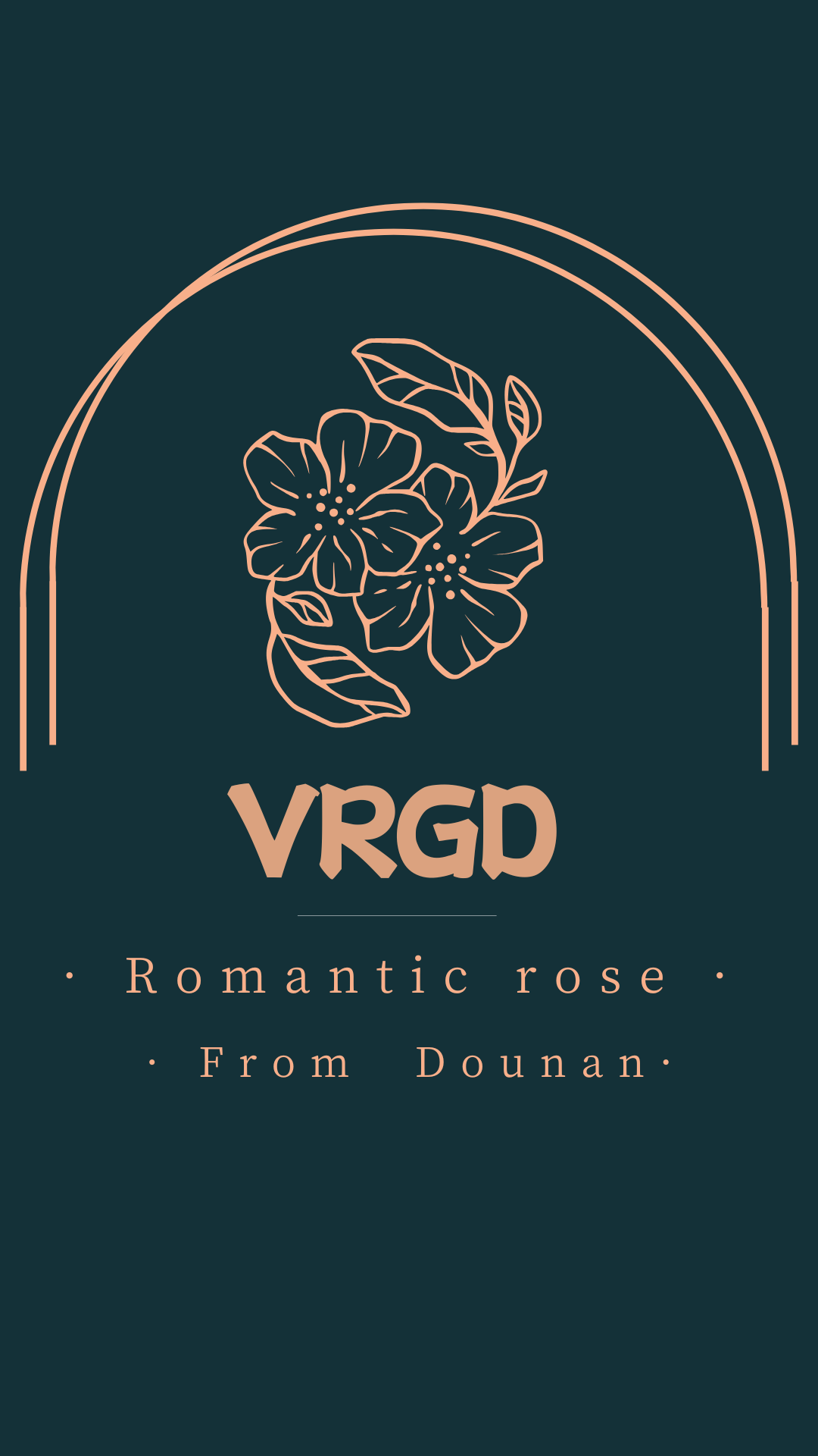 VRGD蝴蝶兰盲盒【随机发货】室内高端盆栽昆明基地直发