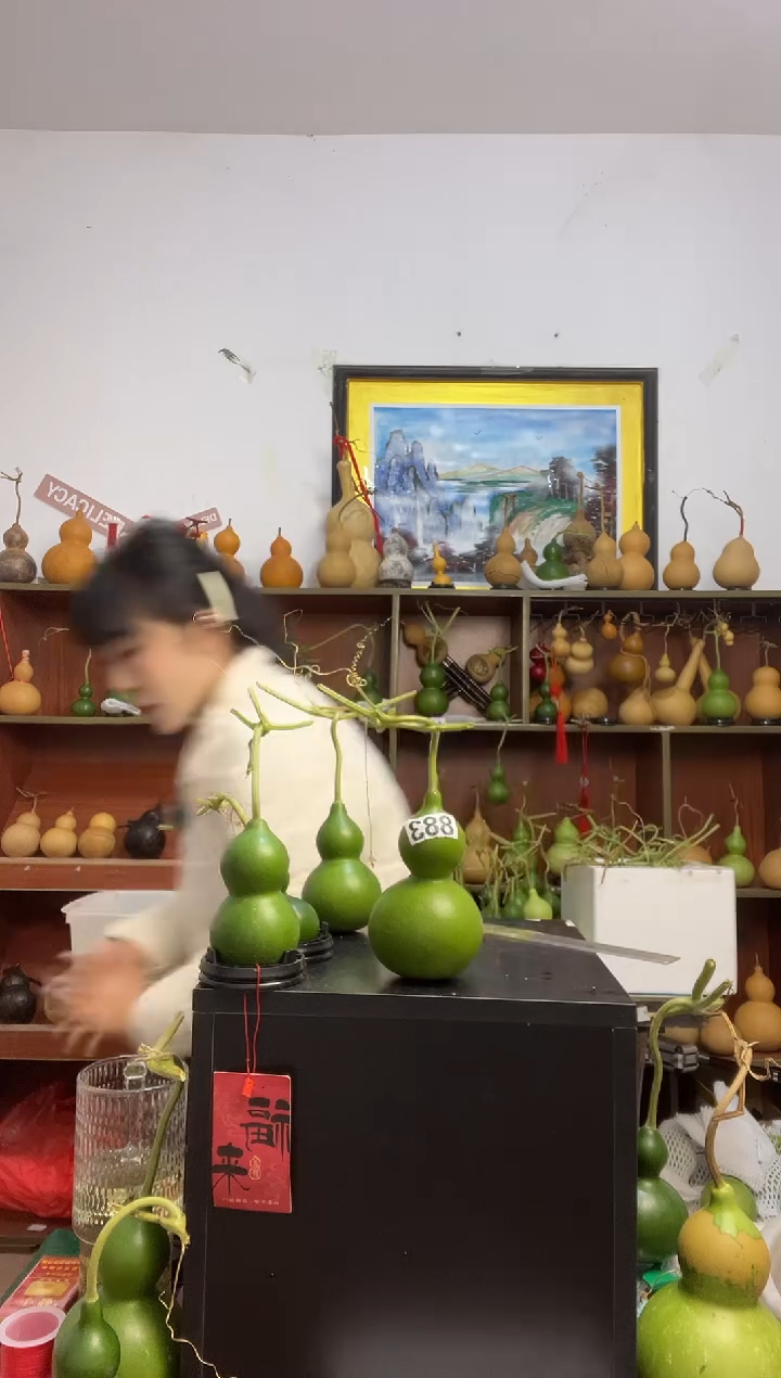 逸*883天然葫芦摆件 一物一拍龙头不保售后带一个