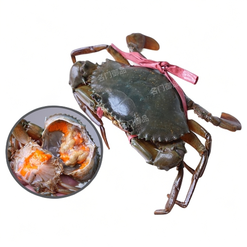 【红鲟】【开箱视频】海产品红鲟膏有肉新鲜直播称重 优选肉质鲜甜