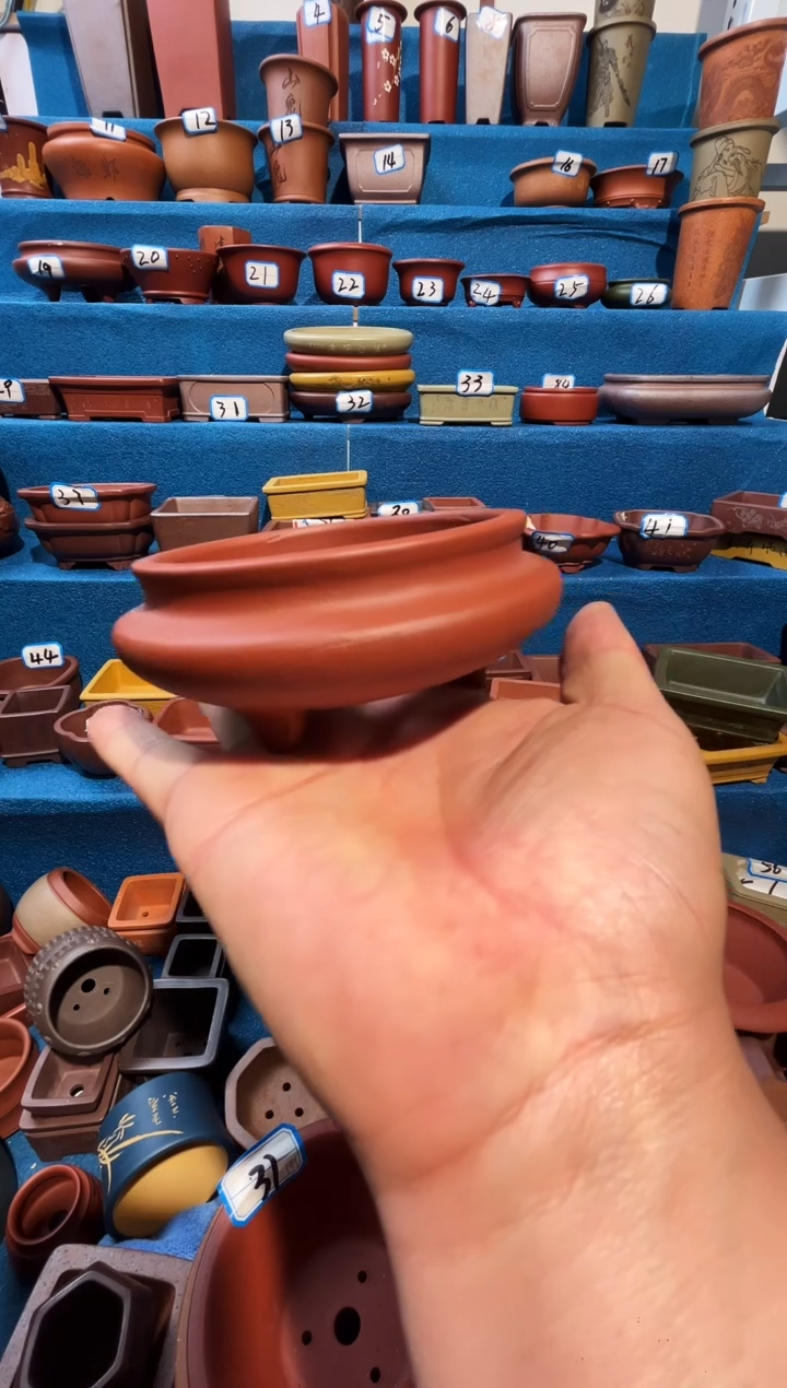 【闪购商品】紫砂紫砂花盆8.5*3