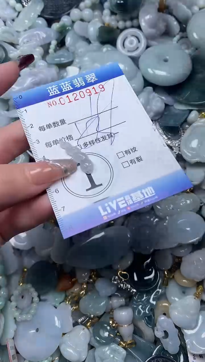 【闪购商品】翡翠颈饰未镶嵌闪购0120919