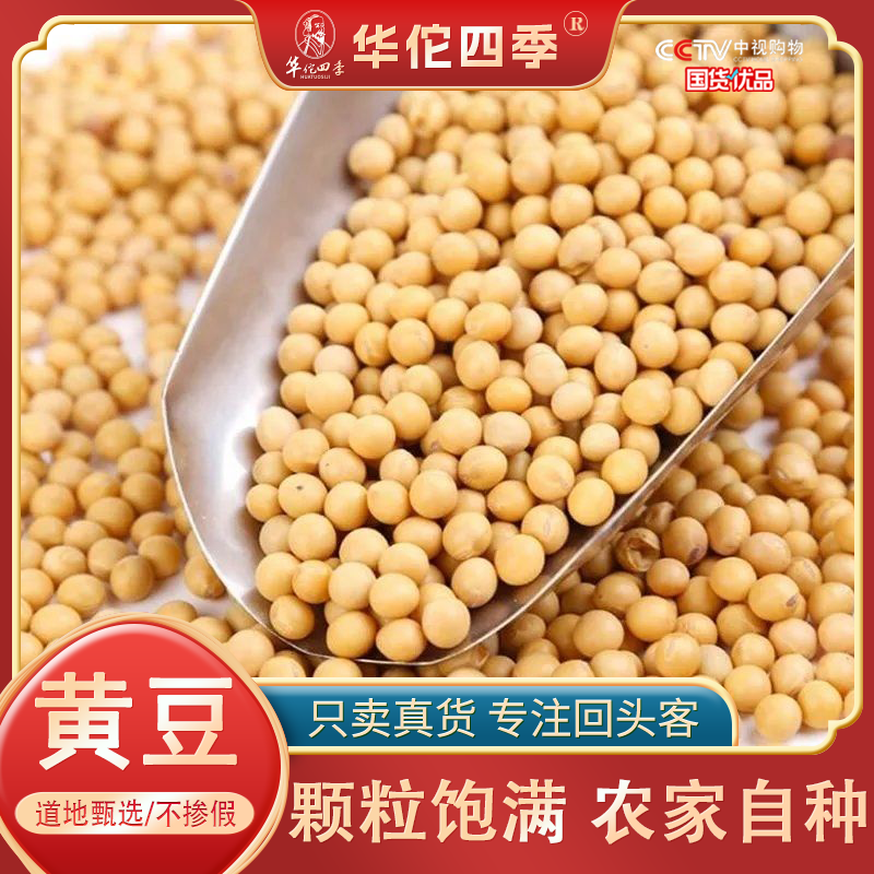 华佗四季黄豆 东北颗粒饱满无硫无熏农家自种豆浆豆芽大豆
