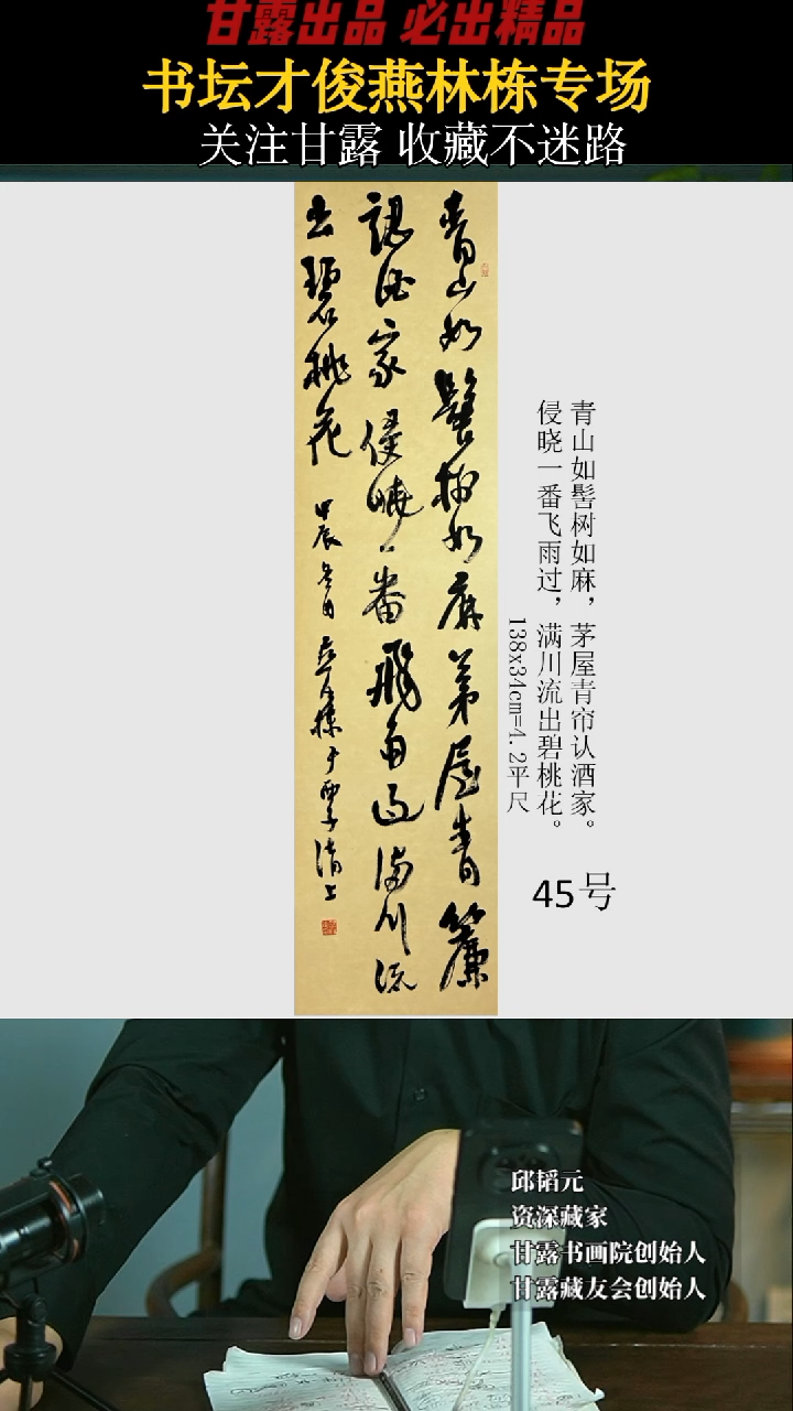 【闪购商品】书法燕林栋45号1443甘露美术馆