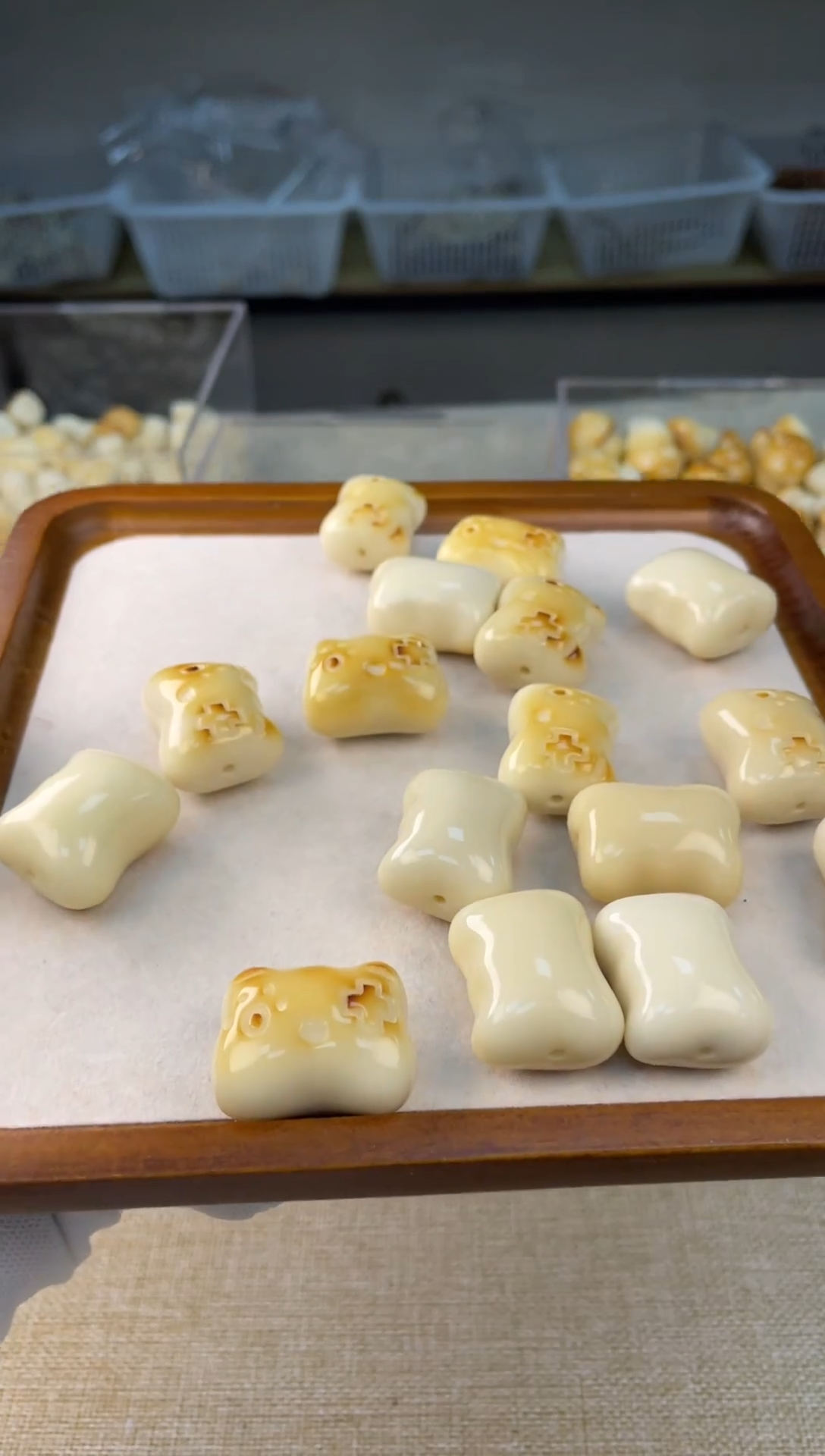 把件菩提根/象牙果59