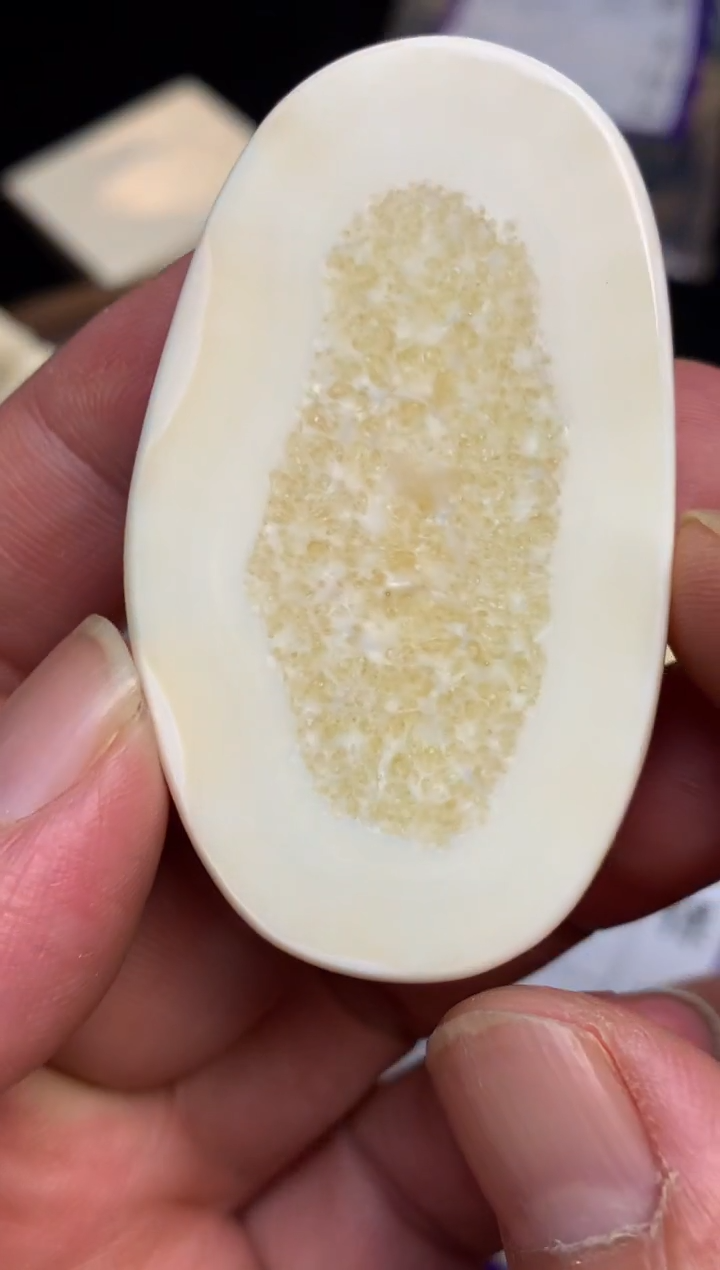 【闪购商品】橄榄核手串/手链猛犸猛犸猛犸猛犸D41