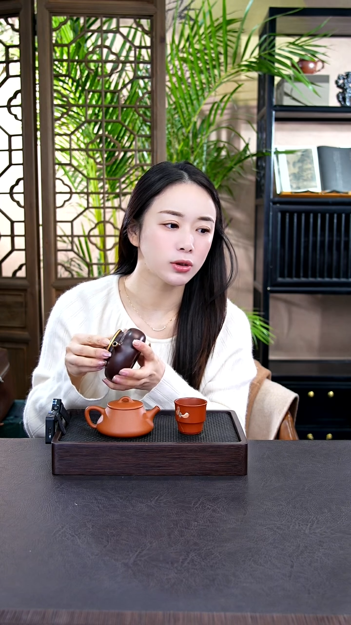 茶壶紫砂22宜兴紫砂壶惊喜