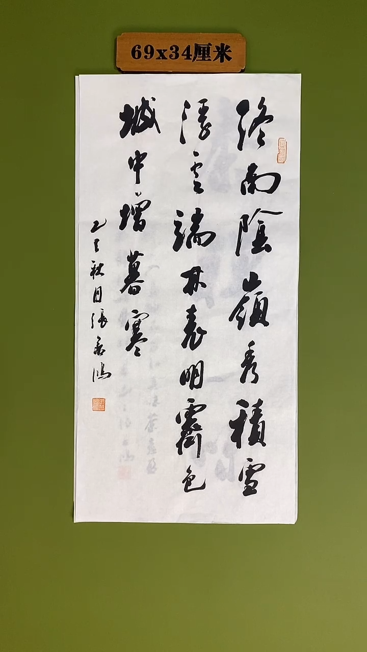书法书法 张若鸿 尺寸69cm*34cm