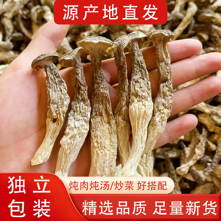 【拍一发四】鹿茸菇干货鹿茸菌批发菌菇香菇蛹虫草煲汤山药粉深山