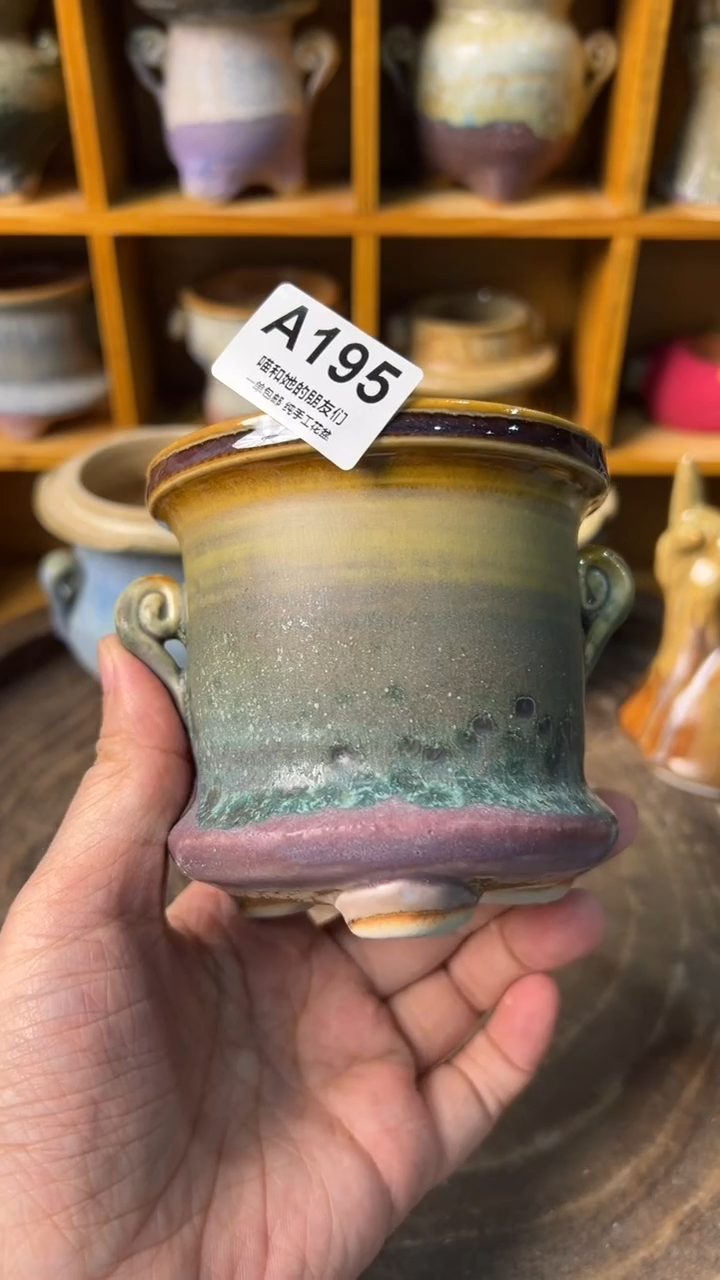 195 内口7【多肉花盆多肉盆】