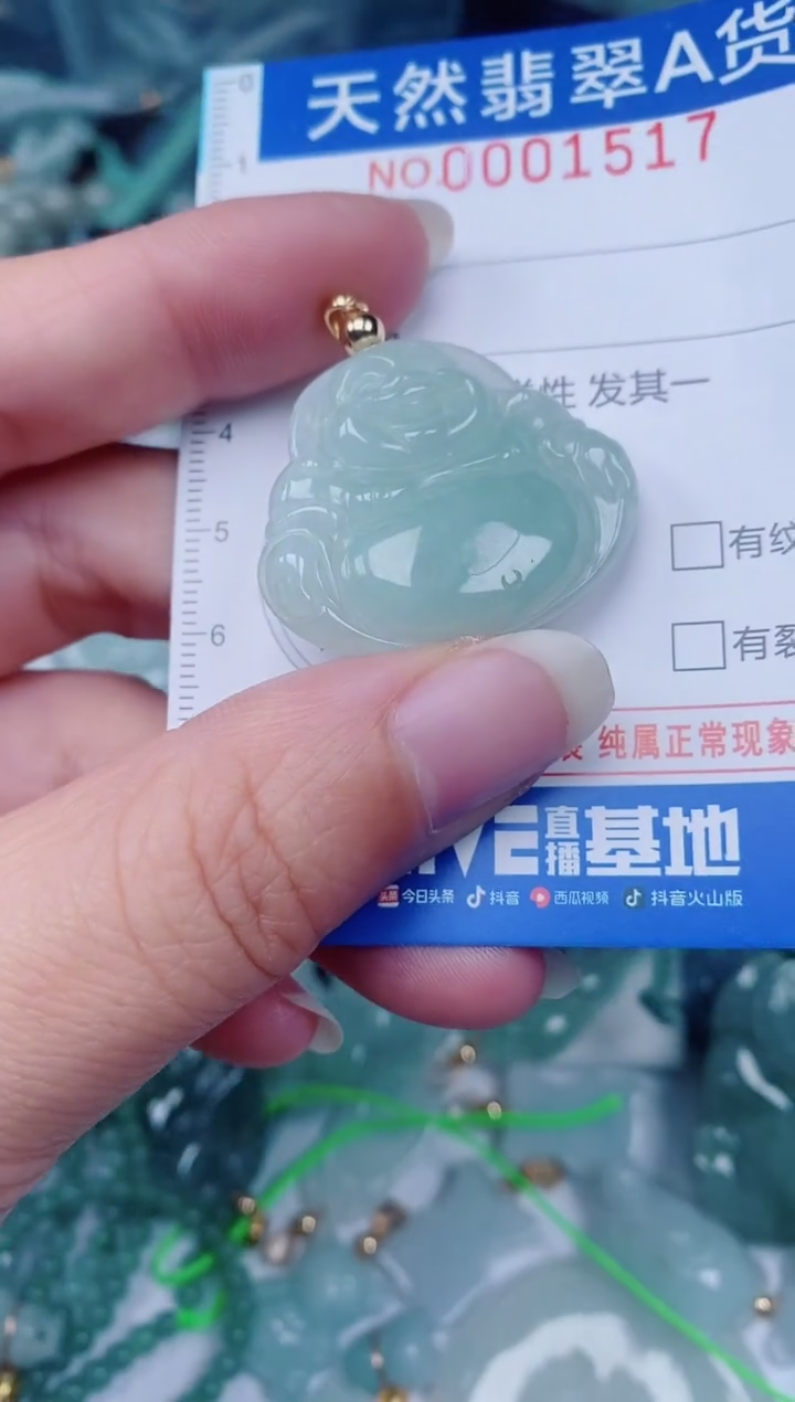 颈饰未镶嵌翡翠00001517