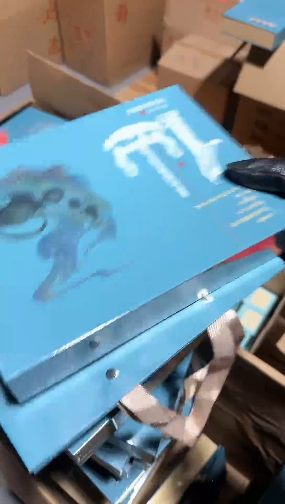 水仙6泡礼盒····